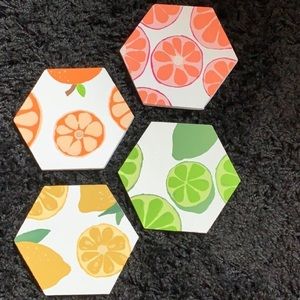 Coasters Fruit Themed Hand Painted Coasters Wood